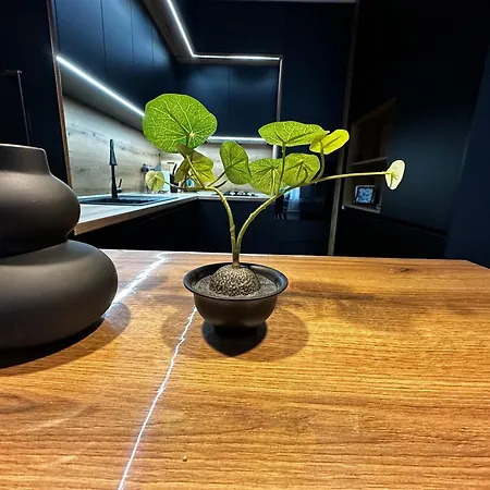 1br Modern Near The Appartamento